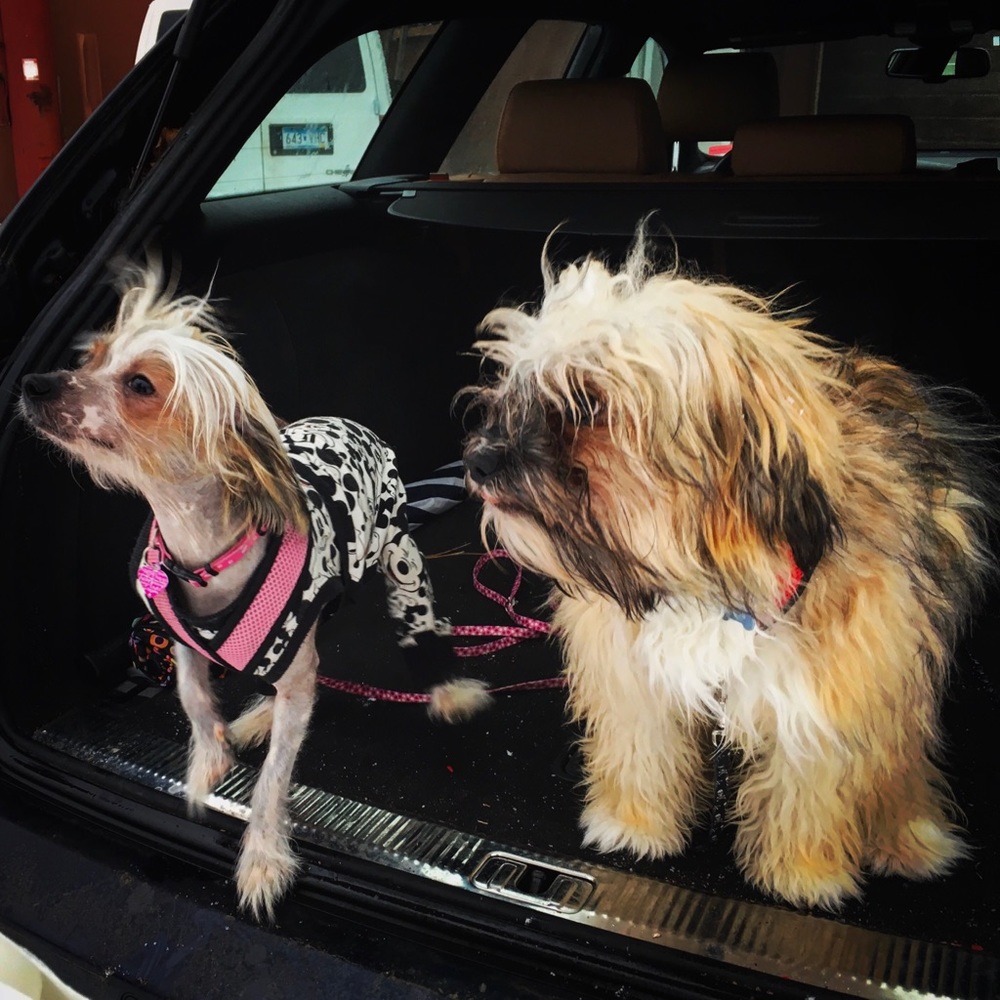 Meet your Posher, Meighan